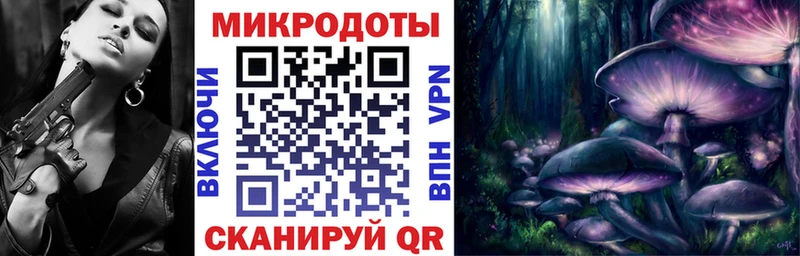 купить  цена  Химки  Псилоцибиновые грибы Psilocybine cubensis 